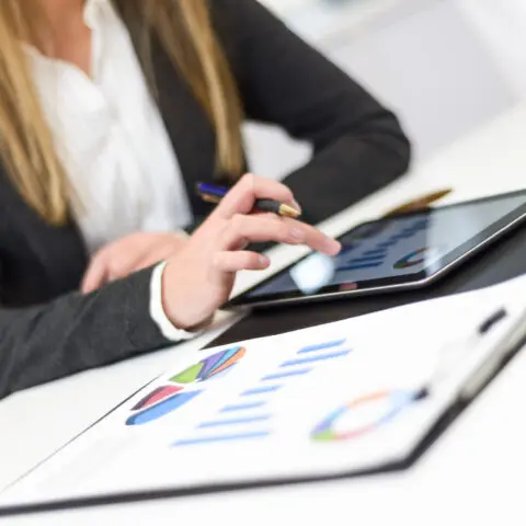 Accountant reviewing financial reports with software